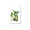 Picture of House Plants I  _GroupedProduct_Rectangle_Portrait_Canvas_