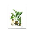 Picture of House Plants I  _GroupedProduct_Rectangle_Portrait_Canvas_
