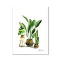 Picture of House Plants I  _GroupedProduct_Rectangle_Portrait_Canvas_