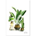 Picture of House Plants I  _GroupedProduct_Rectangle_Portrait_Canvas_
