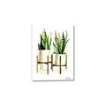 Picture of House Plants II  _GroupedProduct_Rectangle_Portrait_Canvas_