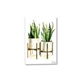 Picture of House Plants II  _GroupedProduct_Rectangle_Portrait_Canvas_