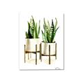 Picture of House Plants II  _GroupedProduct_Rectangle_Portrait_Canvas_