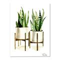 Picture of House Plants II  _GroupedProduct_Rectangle_Portrait_Canvas_