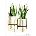 Picture of House Plants II  _GroupedProduct_Rectangle_Portrait_Canvas_