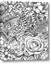 Picture of Detailed Floral Sketch