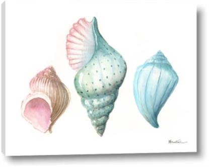 Picture of Seashells I