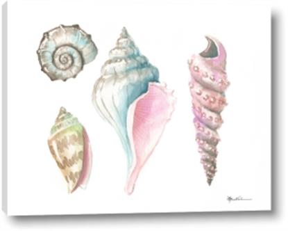 Picture of Seashells II