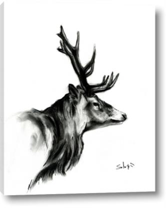 Picture of Sketched Deer side