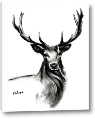 Picture of Sketched Deer