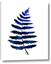 Picture of Indigo Fern