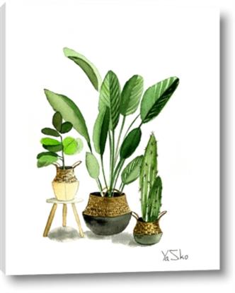 Picture of House Plants I
