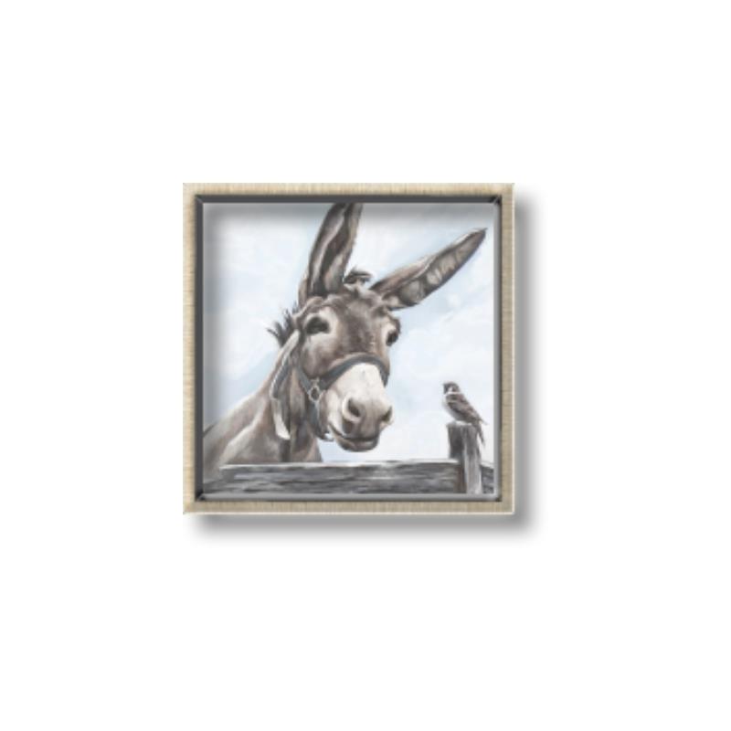Picture of Donkey time _GroupedProduct_Square_Canvas_Framed_