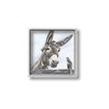 Picture of Donkey time _GroupedProduct_Square_Canvas_Framed_