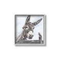 Picture of Donkey time _GroupedProduct_Square_Canvas_Framed_
