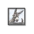 Picture of Donkey time _GroupedProduct_Square_Canvas_Framed_