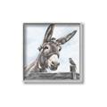Picture of Donkey time _GroupedProduct_Square_Canvas_Framed_