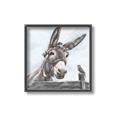 Picture of Donkey time _GroupedProduct_Square_Canvas_Framed_