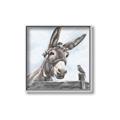 Picture of Donkey time _GroupedProduct_Square_Canvas_Framed_