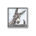 Picture of Donkey time _GroupedProduct_Square_Canvas_Framed_