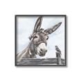 Picture of Donkey time _GroupedProduct_Square_Canvas_Framed_