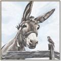 Picture of Donkey time _GroupedProduct_Square_Canvas_Framed_