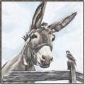 Picture of Donkey time _GroupedProduct_Square_Canvas_Framed_