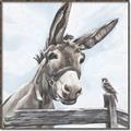 Picture of Donkey time _GroupedProduct_Square_Canvas_Framed_