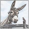 Picture of Donkey time _GroupedProduct_Square_Canvas_Framed_