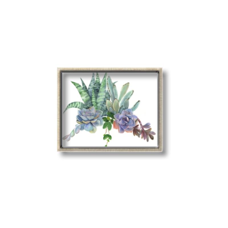 Picture of Succulent Group _GroupedProduct_Rectangle_Landscape_Canvas_Framed_