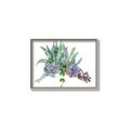 Picture of Succulent Group _GroupedProduct_Rectangle_Landscape_Canvas_Framed_