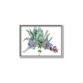 Picture of Succulent Group _GroupedProduct_Rectangle_Landscape_Canvas_Framed_