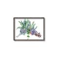 Picture of Succulent Group _GroupedProduct_Rectangle_Landscape_Canvas_Framed_