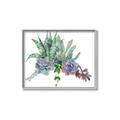 Picture of Succulent Group _GroupedProduct_Rectangle_Landscape_Canvas_Framed_