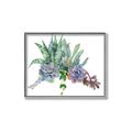 Picture of Succulent Group _GroupedProduct_Rectangle_Landscape_Canvas_Framed_
