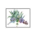 Picture of Succulent Group _GroupedProduct_Rectangle_Landscape_Canvas_Framed_