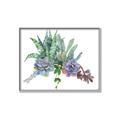 Picture of Succulent Group _GroupedProduct_Rectangle_Landscape_Canvas_Framed_