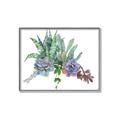 Picture of Succulent Group _GroupedProduct_Rectangle_Landscape_Canvas_Framed_