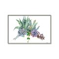 Picture of Succulent Group _GroupedProduct_Rectangle_Landscape_Canvas_Framed_