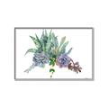 Picture of Succulent Group _GroupedProduct_Rectangle_Landscape_Canvas_Framed_