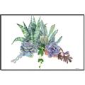Picture of Succulent Group _GroupedProduct_Rectangle_Landscape_Canvas_Framed_