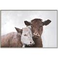 Picture of Cow buddies _GroupedProduct_Rectangle_Landscape_Canvas_Framed_