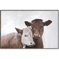Picture of Cow buddies _GroupedProduct_Rectangle_Landscape_Canvas_Framed_