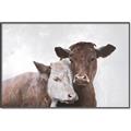 Picture of Cow buddies _GroupedProduct_Rectangle_Landscape_Canvas_Framed_