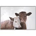 Picture of Cow buddies _GroupedProduct_Rectangle_Landscape_Canvas_Framed_