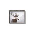 Picture of Reindeer _GroupedProduct_Rectangle_Landscape_Canvas_Framed_