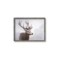 Picture of Reindeer _GroupedProduct_Rectangle_Landscape_Canvas_Framed_
