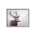 Picture of Reindeer _GroupedProduct_Rectangle_Landscape_Canvas_Framed_