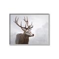 Picture of Reindeer _GroupedProduct_Rectangle_Landscape_Canvas_Framed_