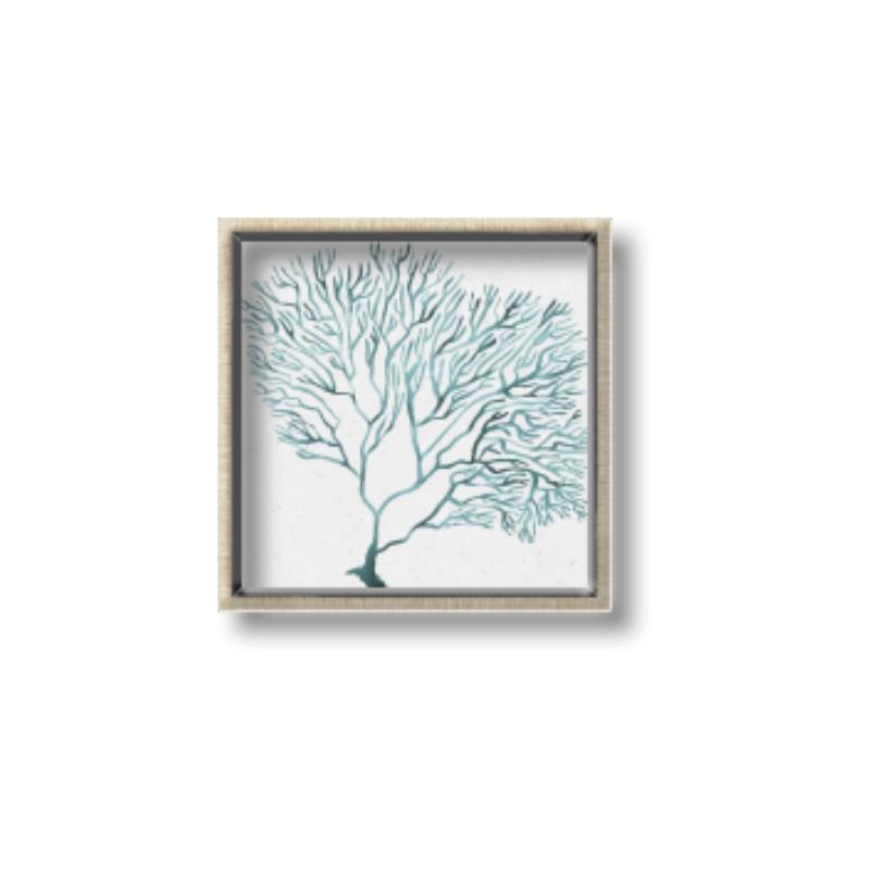 Picture of Teal Coral I  _GroupedProduct_Square_Canvas_Framed_
